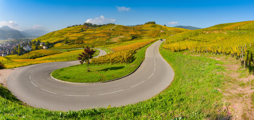 Wine Road, Vineyards of Alsace in France