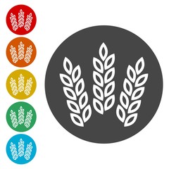 Wheat ears or rice icon
