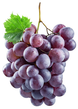 Bunch of red grapes. File contains clipping paths.