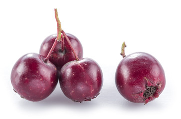 Hawthorn berries isolated on white background.