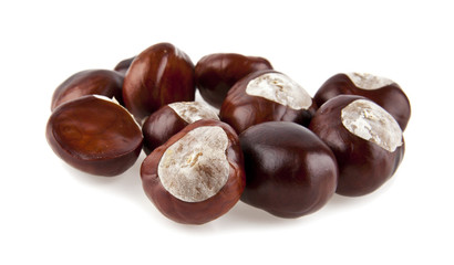 chestnut
