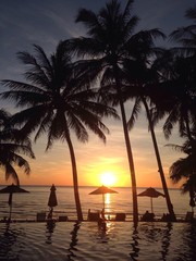 tropical sunset landscape