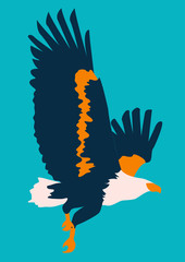 Abstract eagle flying | colorful illustration on blue background | animal shape isolated