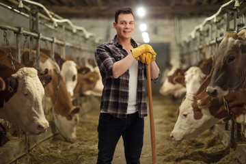 Young agricultural worker posing in a cowshed