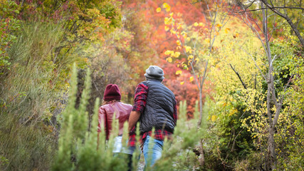 Obraz premium balade amoureuse