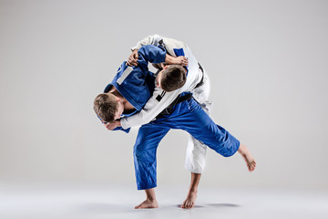 The two judokas fighters fighting men - obrazy, fototapety, plakaty