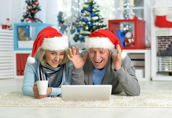 Senior couple with laptop 