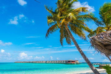Fototapeta na wymiar Beautiful tropical Maldives island, white sandy beach and sea w