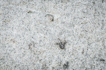 Stone wall texture background