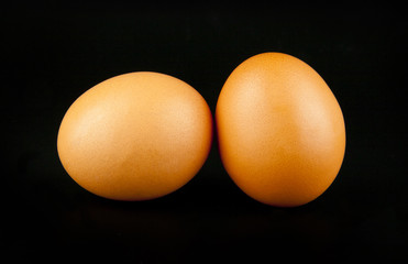 chicken egg