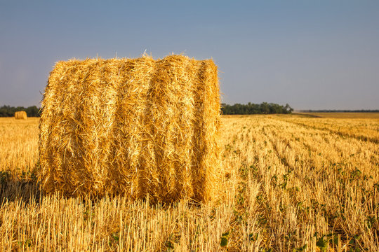 haystack on the field © hanna_photo