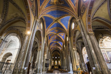 Fototapeta na wymiar Santa Maria Sopra Minerva church, Rome, Italy