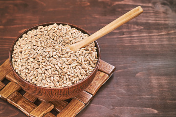 Spelt grain (dinkel wheat) in wooden bowl. Copy space