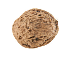 walnuts