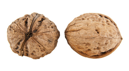 walnuts