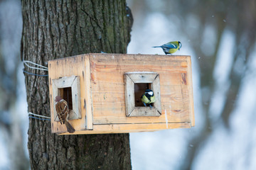 bird feeders. tree house for the birds.  Bird feeder in winter p