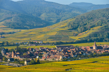 Vineyard and townscape Kaysersberg, Alsace in France