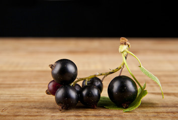 currant berries