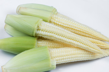Baby corn on white background