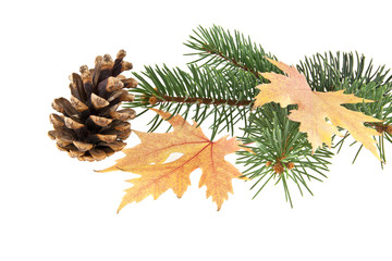 Christmas tree branch, pinecone and yellow leaves