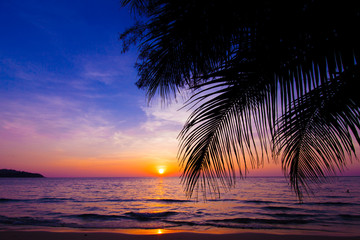 Plakat sunset landscape. beach sunset. palm trees silhouette on sunset