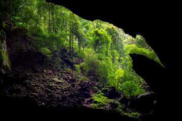 Entrance of the Deer cave in Gunung Mulu, Sarawak, Borneo, Malaysia