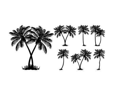 Set Tropical Island Palm Trees Black silhouettes Vector Logo Design