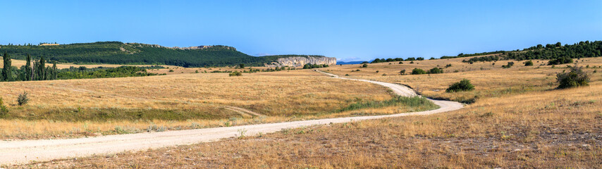 Road In The Steppes