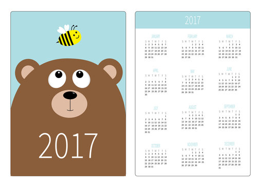 Pocket calendar 2017 year. Week starts Sunday. Flat design Vertical orientation Template. Bear grizzly big head looking at honey bee insect. Cute cartoon character. White background.