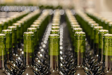 Botellas de vino en la bodega