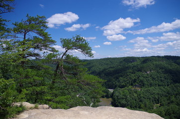 View from Rock Outcrop