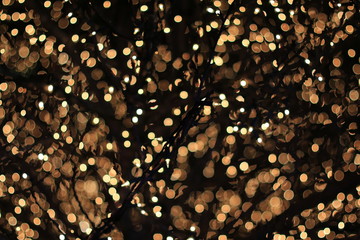 クリスマスイルミネーション