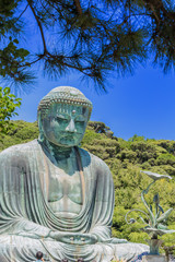 The Great Buddha in Kamakura, which is surrounded by green leaves.