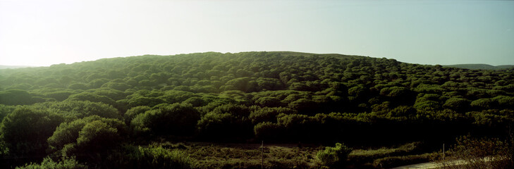 mystisches bergpanorama