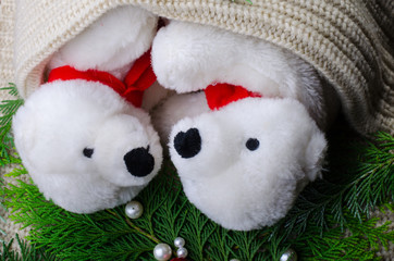 polar bears sleeping under a blanket in the new year