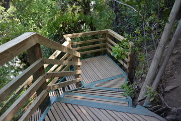 wooden staircase at a national park in Chile