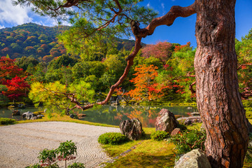 Autumn at zen garden of the tenryu-ji temple in Arashiyama, Japan. © Patryk Kosmider