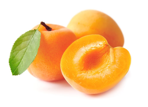 Sweet apricots with leafs