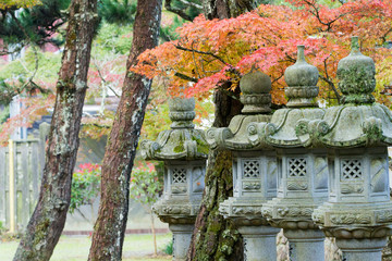 Buttsuuji is a temple famous for colored leaves.