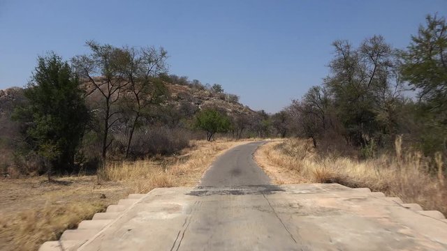 Game Drive in Matobos NP (Zimbabwe) as detailed 4K UHD footage