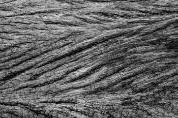 Wooden natural background