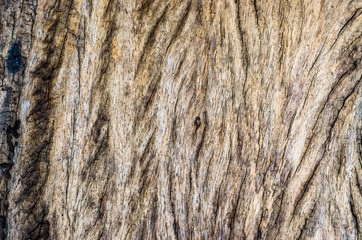 Wooden natural background