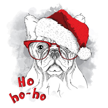 The christmas poster with the image dog portrait in Santa's hat. Vector illustration.