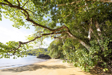 picturesque coast national park, Nosy Mangabe, Madagascar