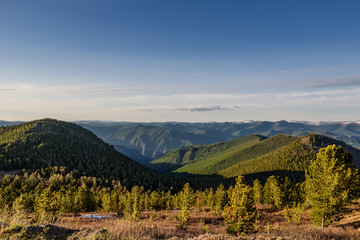 mountain cedars forest sky peaks