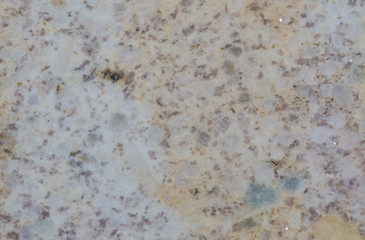 The surface of marble