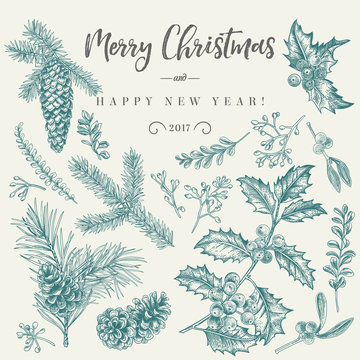 Christmas card with traditional plants.