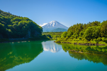 Fototapeta premium Mount Fuji from Lake Shoji