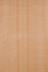 サテンシカモアの板