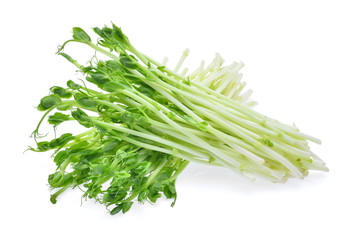 fresh snow pea sprouts isolated on white background